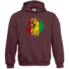 Zion Lion hoodie