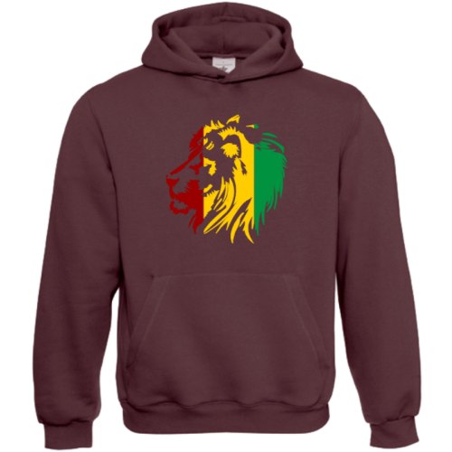 Zion Lion hoodie