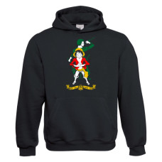Luffy-Zoro hoodie
